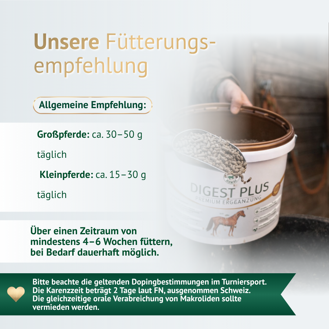 Fütterungsempfehlung für Digest Plus – richtige Dosierung für Großpferde und Kleinpferde