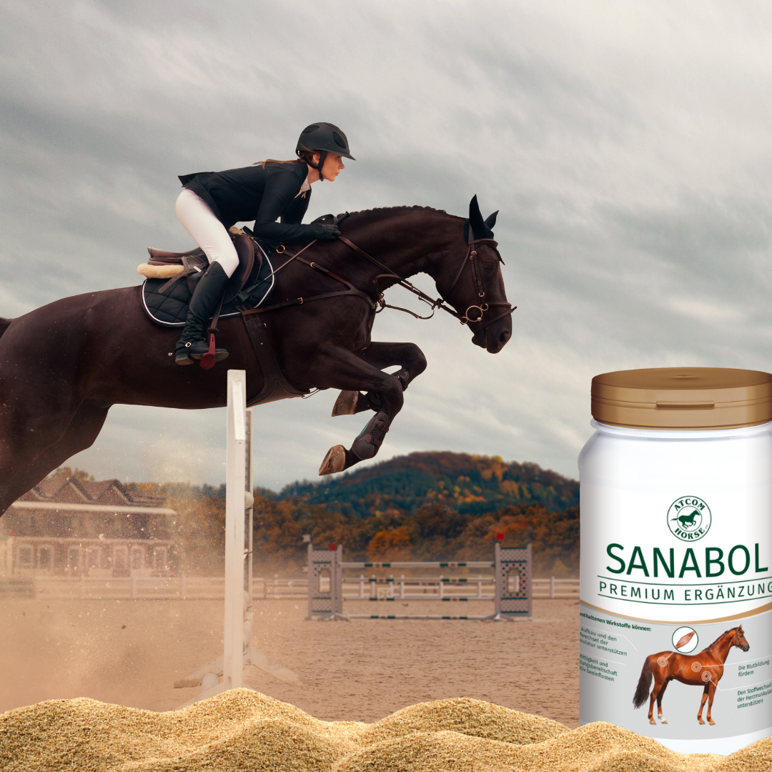 Springreiterin mit Pferd im Parcours – ATCOM Sanabol als Ergänzungsfutter für sportlich geforderte Pferde