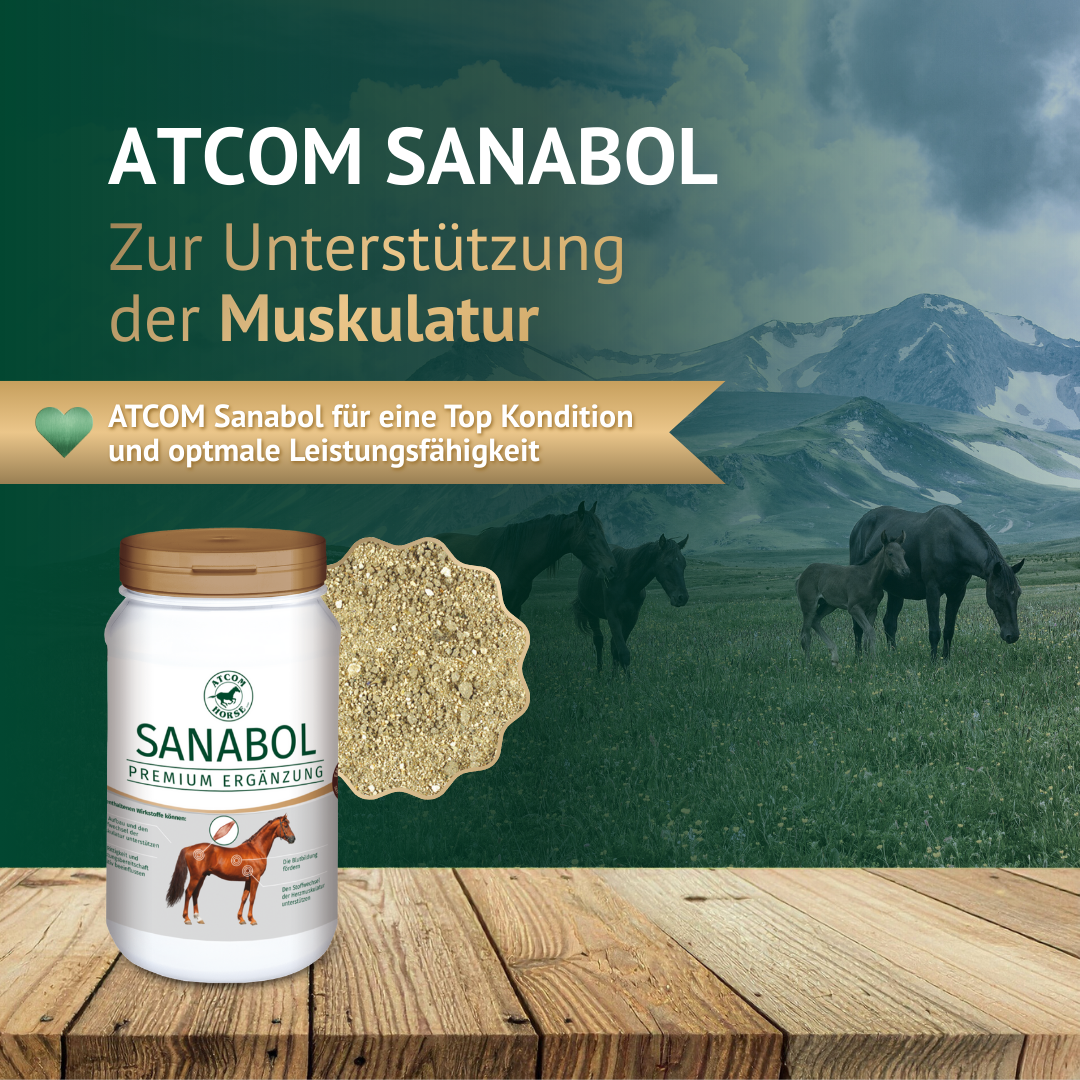 ATCOM Sanabol Produktdarstellung zur Unterstützung der Muskulatur mit Pferden auf der Weide im Hintergrund