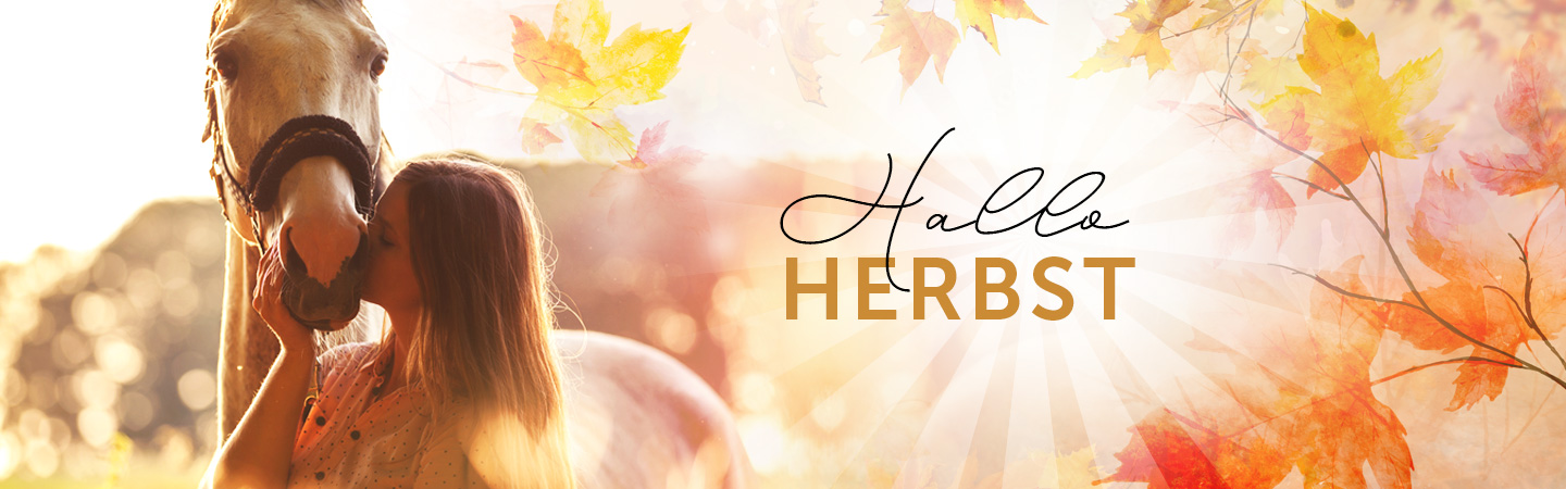 Eine Person umarmt ein Pferd vor einem herbstlichen Hintergrund mit bunten Blättern und Sonnenstrahlen.