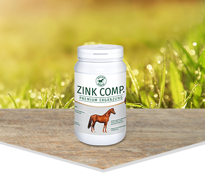 Zink Comp. Ergänzung für Pferde Zink Comp. Premium Ergänzung für Pferde in einem weißen Behälter auf einem Holztisch vor einer grünen Wiese.