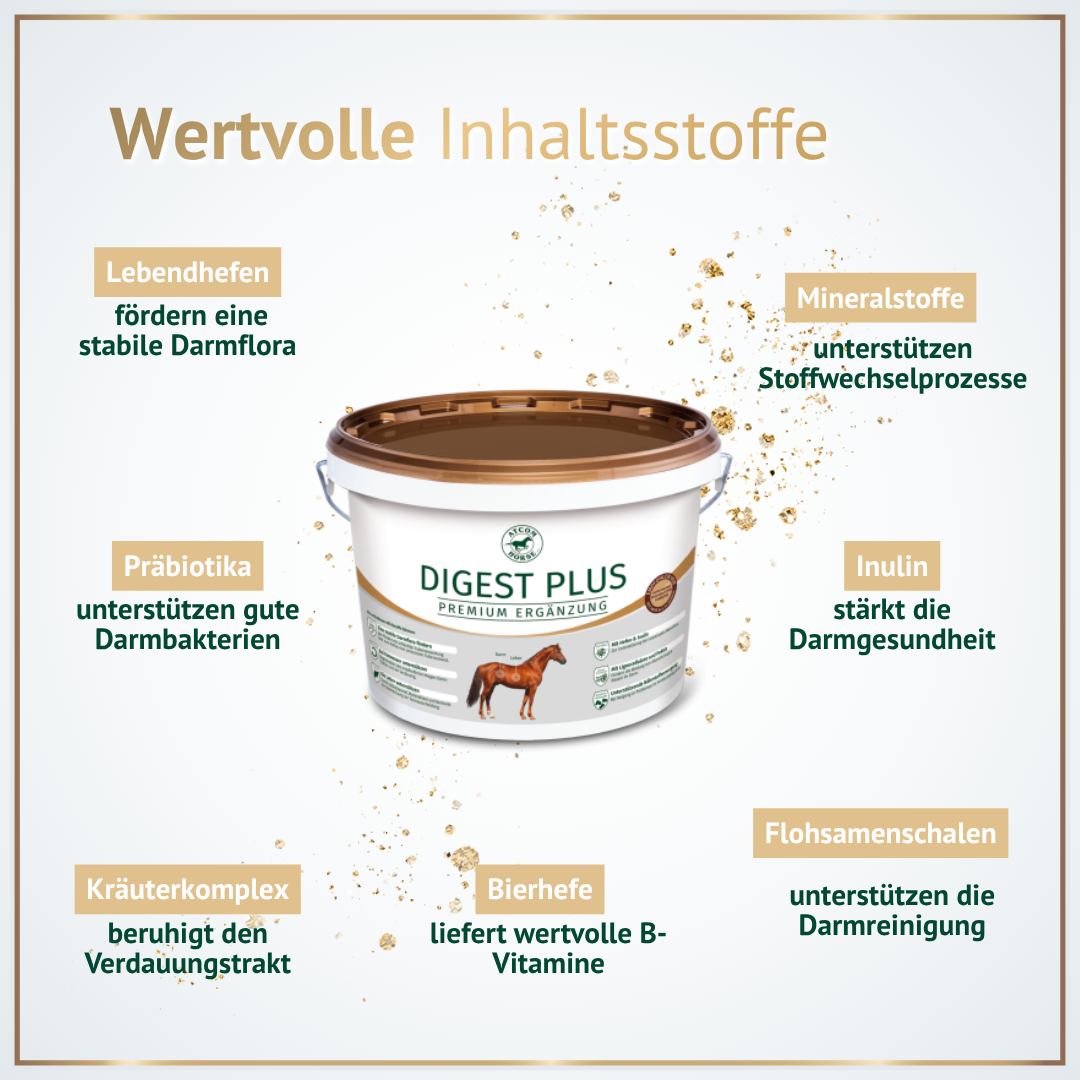 Inhaltsstoffe von Digest Plus – Probiotika, Mineralstoffe, Kräuter und Ballaststoffe für gesunde Pferdedärme