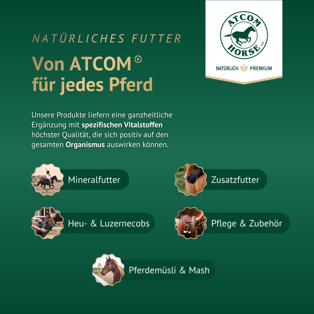 Produktübersicht von ATCOM Horse mit Mineralfutter, Zusatzfutter, Heucobs und Pferdemüsli für eine ganzheitliche Pferdefütterung