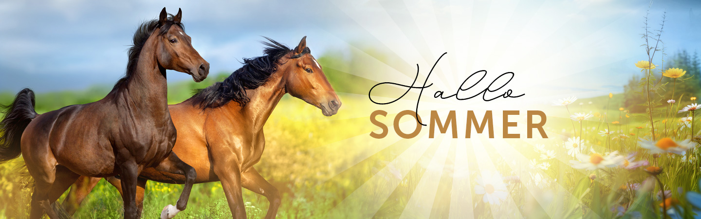 Zwei Pferde galoppieren durch eine grüne Wiese, im Hintergrund strahlt die Sonne. Text: 'Hallo Sommer'
