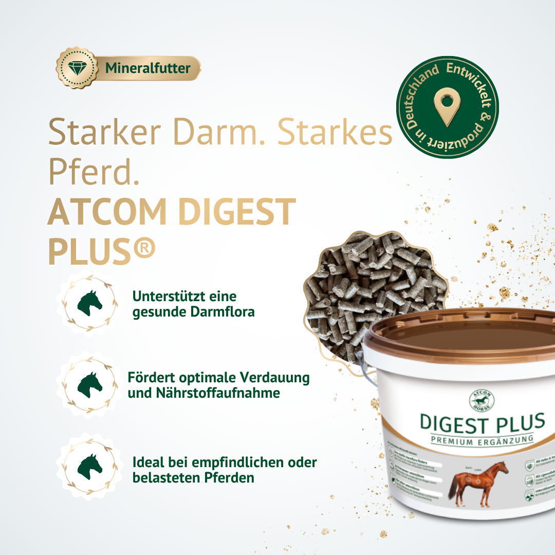 Ergänzungsfutter ATCOM Digest Plus für Pferde zur Unterstützung der Darmflora und Verdauung