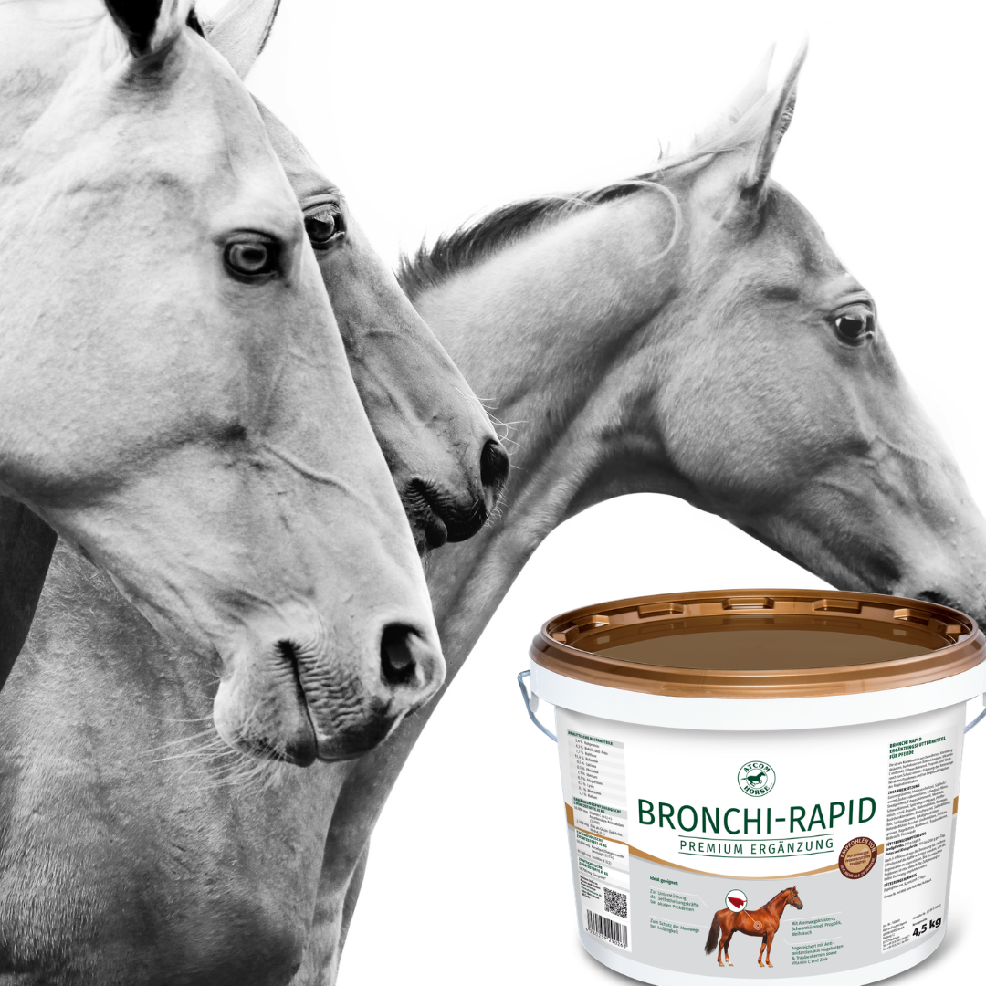 ATCOM Bronchi-Rapid Ergänzungsfutter für Pferde mit zwei Pferdeköpfen im Hintergrund
