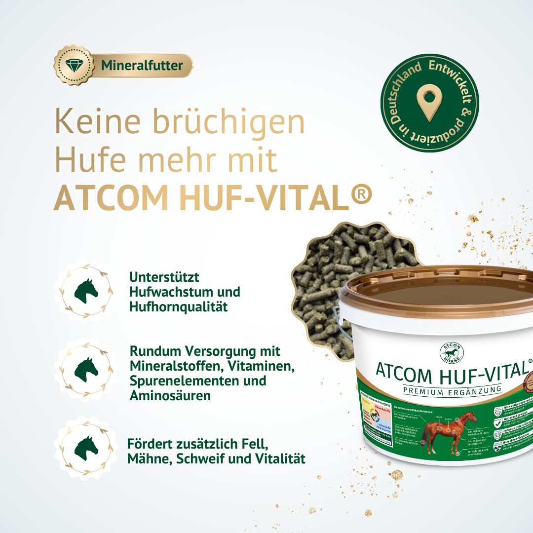 künstliche nägel selber aufkleben Zürich Nail | Trillionairenails main image 0