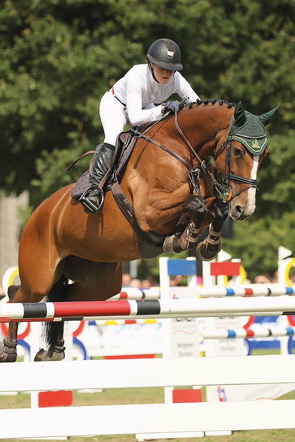 Reiterin springt mit Pferd über Hindernis Doping: Was fällt unter Doping im Pferdesport?
