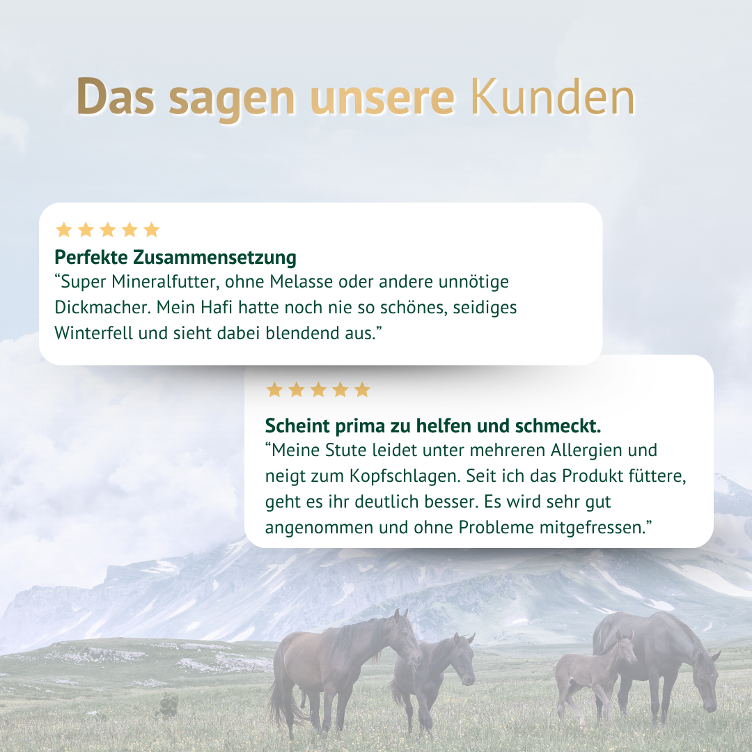 Kundenbewertungen zu Allergo-Vital mit Erfahrungsberichten zur Verträglichkeit, Fellqualität und Akzeptanz beim Pferd.