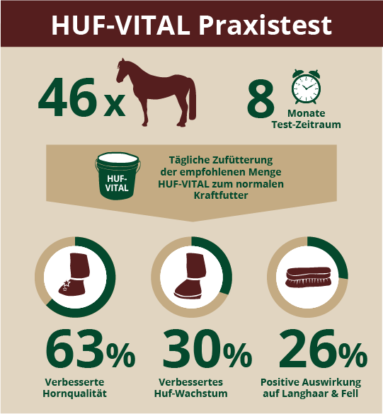 HUF-VITAL Praxistest Ergebnisse Infografik über den HUF-VITAL Praxistest mit Ergebnissen zu Hufqualität, Hufwachstum und positiver Auswirkung auf Langhaar und Fell.