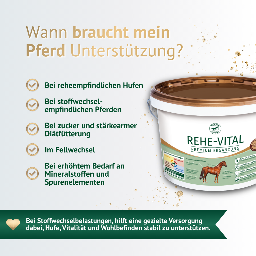 Pferde Ergänzungsfutter Rehe-Vital – wann dein Pferd Unterstützung bei Stoffwechsel und Hufen braucht